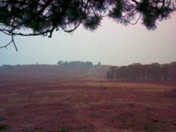 Distant view of Old John Tower & war memorial in Bradgate Park, Leicester Wallpaper