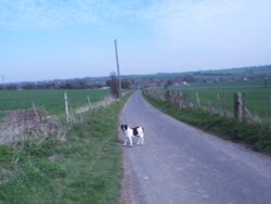 View of Adisham, Kent