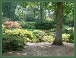 Exbury Gardens, Hampshire.  England Wallpaper