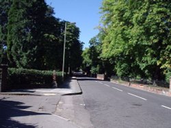 Redan Road Looking Up Wallpaper