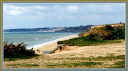 Gorse at Milford-on-Sea, Hampshire Wallpaper