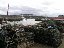 Scarborough Harbour Wallpaper