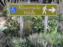 Riverside Walk, Gainsborough Wallpaper