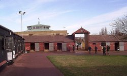 Tattersalls Horse Auctions, Newmarket 2003 Wallpaper