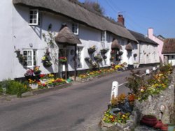 Branscombe, Devon Wallpaper