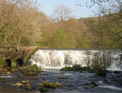 Monsal Dale Weir  - Derbyshire Peak District Wallpaper