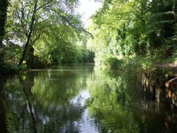 Basingstoke Canal, Surrey Wallpaper