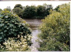 River Thames at Eton Wick, Berkshire Wallpaper