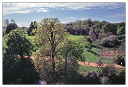 View from Bodiam Castle, Bodiam Wallpaper