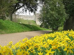 Arundel Castle Wallpaper