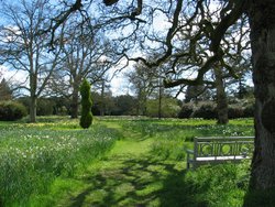 Beaulieu Gardens Walk Wallpaper