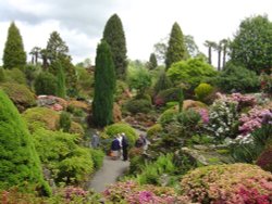 Rock Garden in Leonardslee Gardens, Horsham Wallpaper