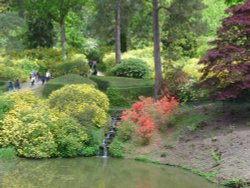 Waterfall in Leonardslee Garden Wallpaper