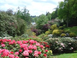 View from Memorial Table in Leonardslee Garden Wallpaper