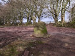 Triscombe Stone, Quantocks Wallpaper