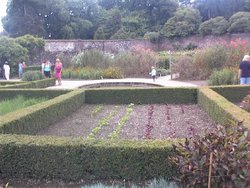 The Lost Gardens Of Heligan Wallpaper