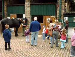 Visiting the stables at The National Coal Mining Museum for England. Wallpaper