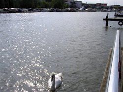 Brayford Wharf, Lincoln Wallpaper