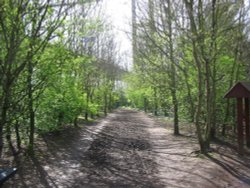 Humber Bridge Country Park Wallpaper