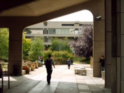 Walking underneath the archway of the Roger Stevens Building. Wallpaper