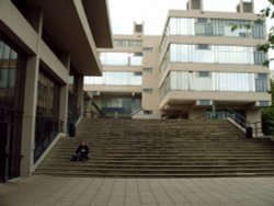 Students on the steps of The Social Sciences Building, University of Leeds. Wallpaper