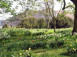 Garden at Leeds Castle Wallpaper