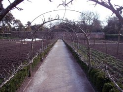 Lost Gardens of Heligan, Mevagissey, Cornwall Wallpaper