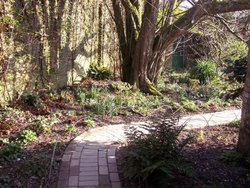 Lost Gardens of Heligan, Mevagissey, Cornwall Wallpaper