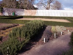 Lost Gardens of Heligan, Mevagissey, Cornwall Wallpaper