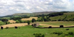 View towards 'Waddington Fell',  Hodder Valley, Lancashire