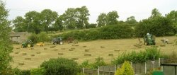 Haytime scene, West Bradford, Lancashire Wallpaper