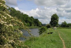 'Ribble Way' at Brungerley, near Clitheroe, Lancashire Wallpaper