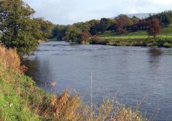 Autumn, River Ribble near West Bradford, Lancashire Wallpaper