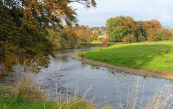 River Ribble near Grindleton, Lancashire Wallpaper