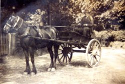 Horse and Trap (about 1930), Holden, near Bolton by Bowland, Lancashire Wallpaper