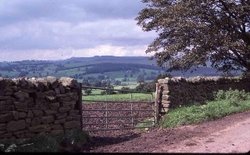 In and around Bolton Abbey. 1978 Wallpaper