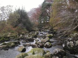 Tavy Cleave. Dartmoor Wallpaper