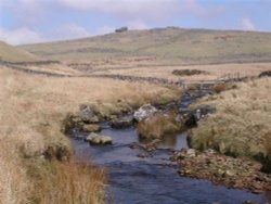 West Dart. Dartmoor Wallpaper