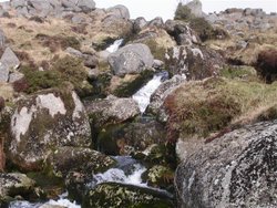 Yealm Steps. Dartmoor Wallpaper