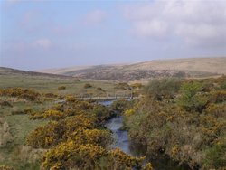 Fairy Bridge. Dartmoor Wallpaper