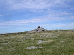 Lynch Tor. Dartmoor Wallpaper