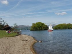 Some of the lovely shore line opposite Belle isle, Windermere Wallpaper