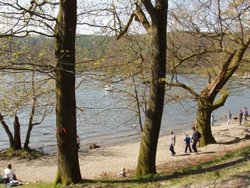 A walk round the shore line of Windermere Wallpaper