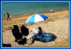 Summer comes to Royal Victoria Country Park, Netley Wallpaper