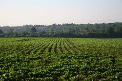 Around the Don Valley at Sprotbrough Wallpaper