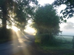 Misty Lane near Broxton, Cheshire