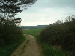 view from footpath Great Oakley Cricket Club Corby Northants 5 minutes walk from a housing estate Wallpaper