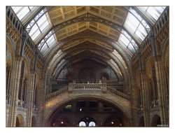 Entrance hall of the museum of natural history in London Wallpaper