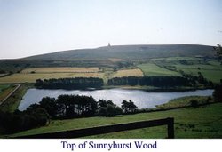 Looking at the woods and Darwen Tower Wallpaper