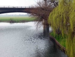 by the river in Huntingdon, Cambridgeshire Wallpaper